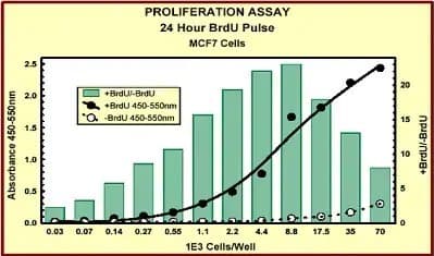 BrdU Cell Proliferation ELISA Kit (colorimetric)(AB126556)