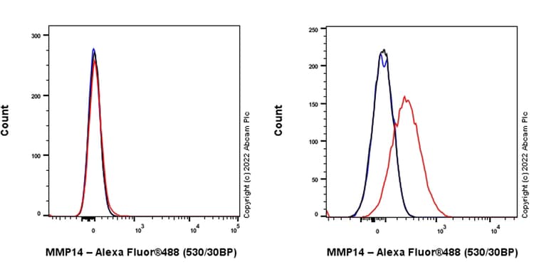 Alexa Fluor® 647 Anti-MMP14 antibody [EP1264Y](AB300749)
