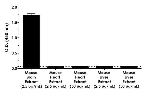 Mouse GFAP ELISA Kit(AB233621)