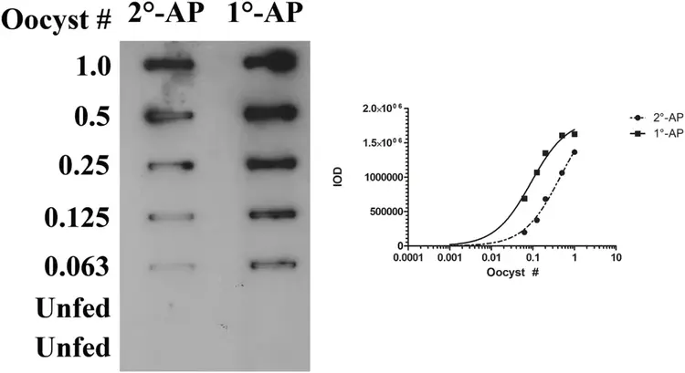 Alkaline phosphatase Conjugation Kit - Lightning-Link®(AB102850)
