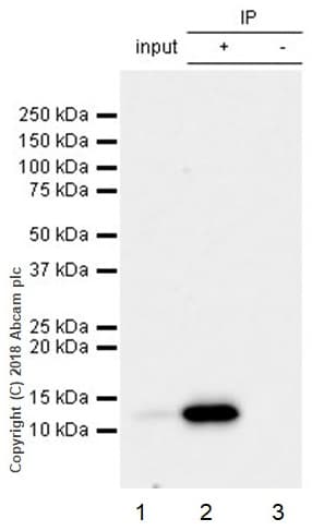 Phorbol 12-myristate 13-acetate (PMA), PKC activator(AB120297)