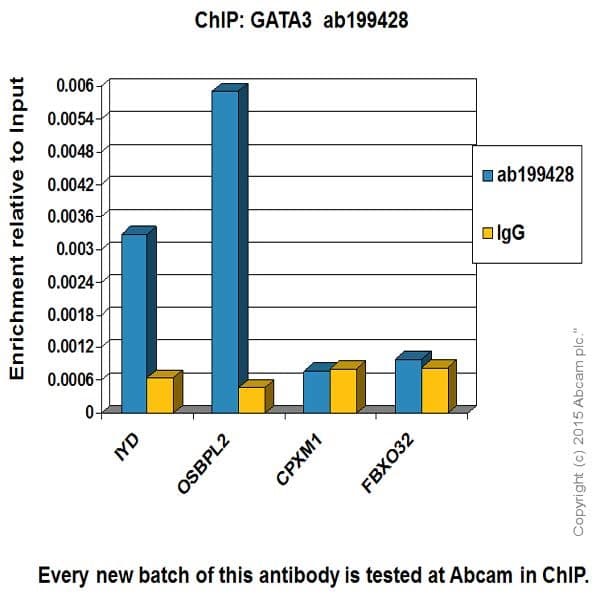 Gata3 Antibody Epr16651 Bsa And Azide Free Ab214804  Chip Img414143