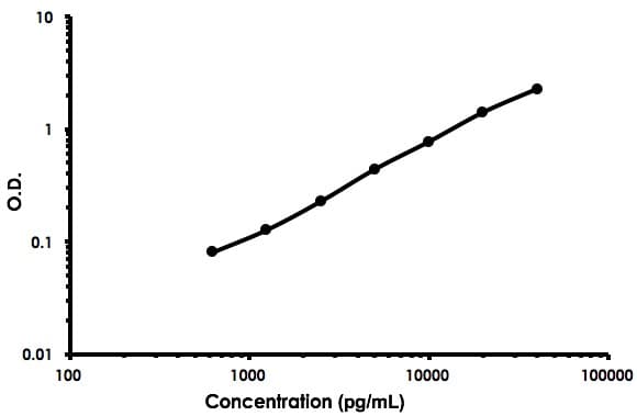 Mouse CD56 ELISA Kit (NCAM1)(AB213851)