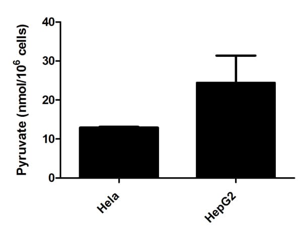 Pyruvate Assay Kit(AB65342)