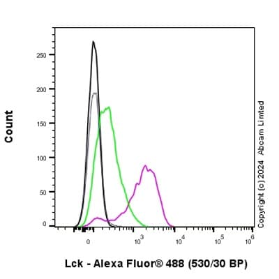Anti-Lck (phospho Y394) antibody [EPR27974-93](AB318960)
