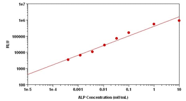 Alkaline Phosphatase Assay Kit (Luminometric)(AB233466)