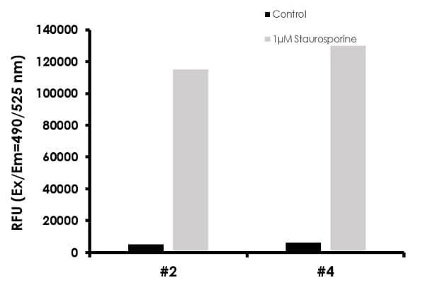 Caspase-3/7, Caspase-8 and Caspase-9 Multiplex Activity Assay Kit (Fluorometric)(AB219915)