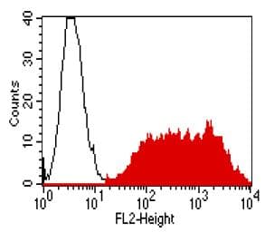 Anti-Claudin 9 antibody [YD4E9] - BSA and Azide free(AB187116)