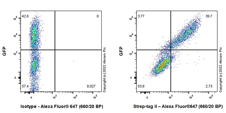 Anti-Strep-tag II antibody [EPR28119-43](AB307676)