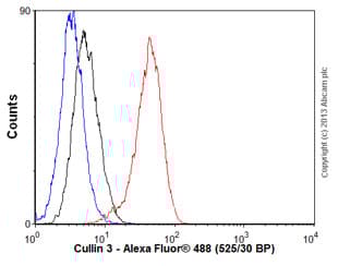 Anti-Cullin 3/CUL-3 antibody [EPR3196Y](ab75851)
