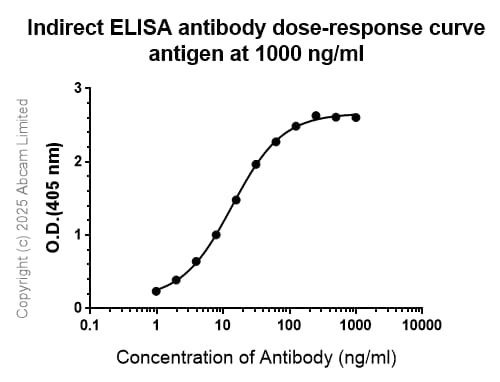 Anti-RecA antibody [EPR29094-561](AB323376)