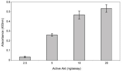 Akt Kinase Activity Assay Kit(AB139436)