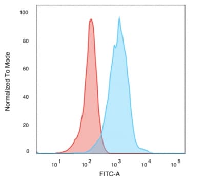 Anti-Human Nuclear Antigen antibody [235-1](AB191181)
