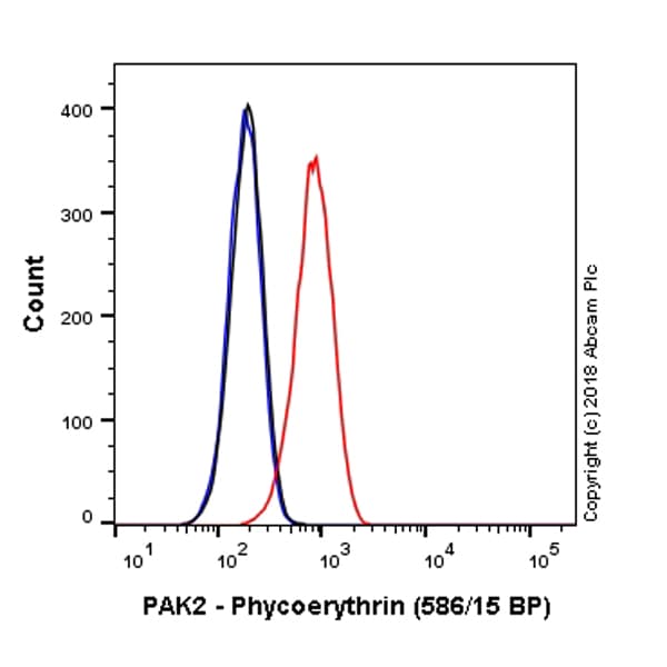PE Anti-PAK2 antibody [EP796Y](AB225023)