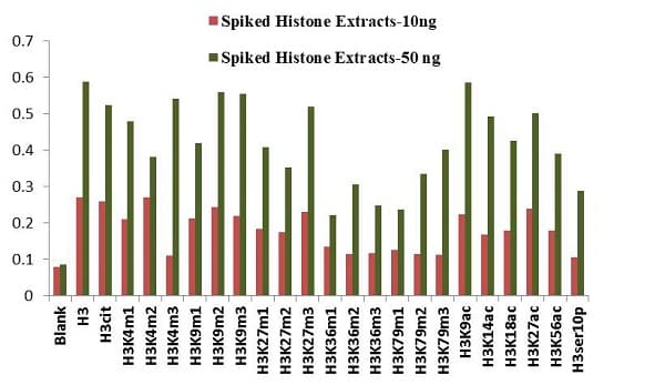 Histone H3 Modification Multiplex Assay Kit (Colorimetric, Circulating)(AB233495)