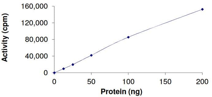 Recombinant human FGFR4 (mutated N535K) protein (Active)(AB268575)