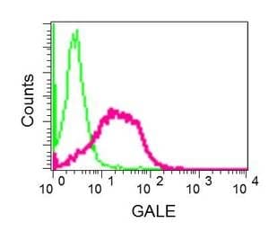 Gale Antibody Epr11088b Bsa And Azide Free Ab249240  Flow Cytometry Intracellular Img413997