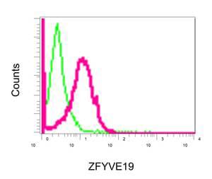 Anti-ZFYVE19 antibody [EPR9789](AB155085)