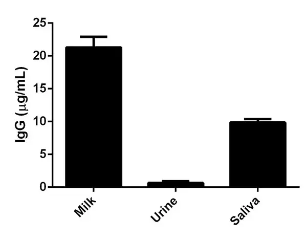 Human IgG ELISA Kit(AB195215)