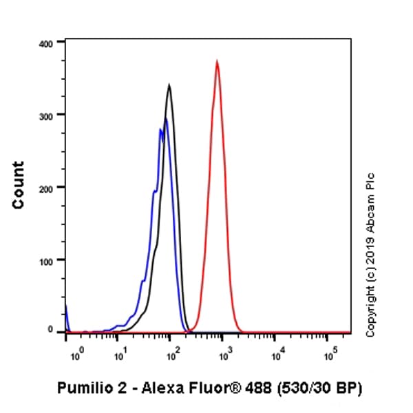 Anti-Pumilio 2 antibody [EPR3813] - BSA and Azide free(AB239909)