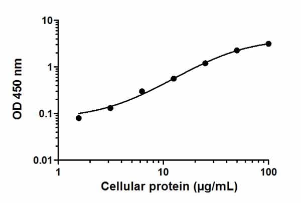 ERK1/2 (pT202/Y204) ELISA Kit(AB176640)