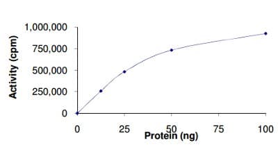 Recombinant human DYRK2 protein(AB133138)