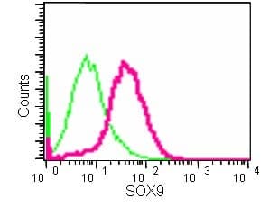 Sox9 Antibody Epr12755 50 Bsa And Azide Free Ab250751  Flow Cytometry Intracellular Img58374