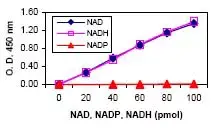 NAD/NADH Assay Kit (Colorimetric)(AB65348)