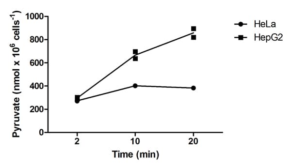 Pyruvate Kinase Assay Kit(ab83432)