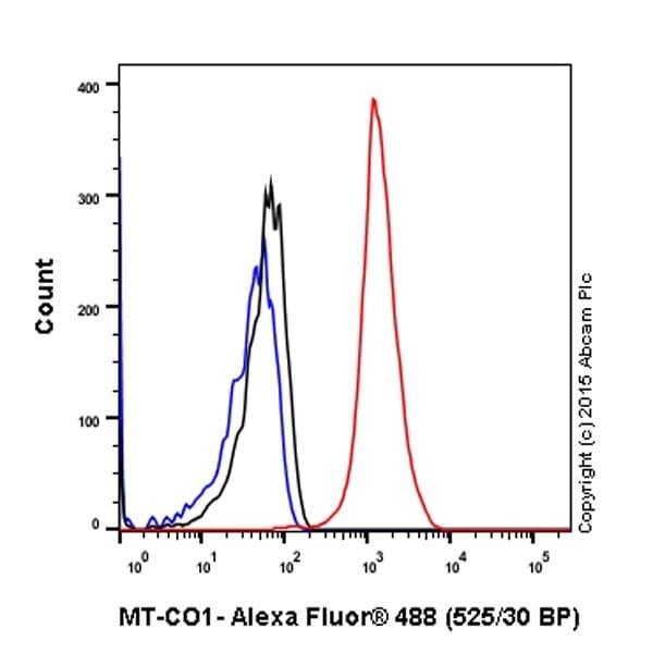 Anti-MTCO1 antibody [EPR19642](AB203917)