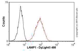 Anti-LAMP1 antibody [1D4B](AB25245)