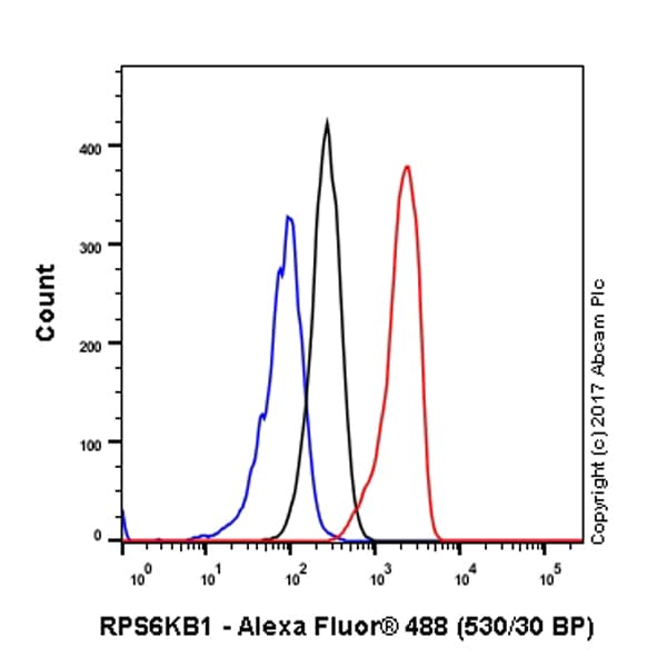 Anti-S6K1 antibody [E343] - BSA and Azide free(AB203558)