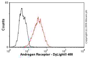 Anti-Androgen Receptor antibody [AR 441](AB9474)