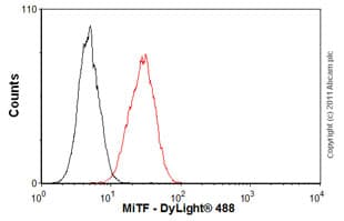 Anti-MiTF antibody [D5](AB3201)