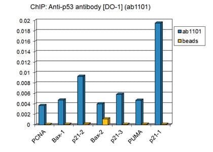 Anti-p53 antibody [DO-1] - ChIP Grade(AB1101)