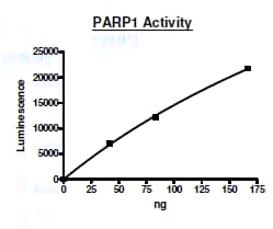 Recombinant human PARP1 protein (Active)(ab271649)