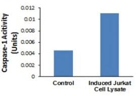 Caspase-1 Assay Kit (Colorimetric)(AB273268)