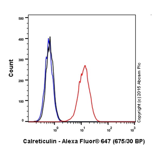 Alexa Fluor® 647 Anti-Calreticulin antibody [EPR3924] - ER Marker(AB196159)