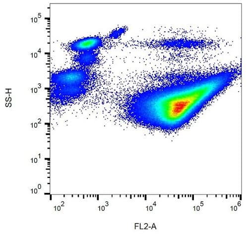 PE Anti-CD42b antibody [AK2](AB232912)