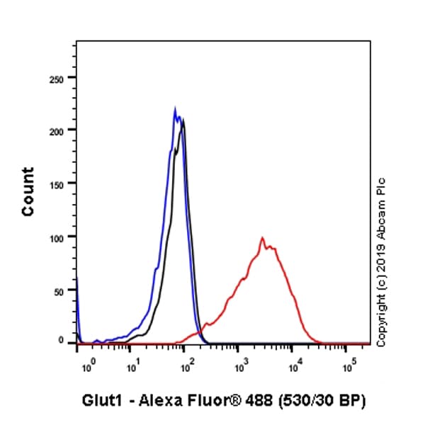 Anti-Glucose Transporter GLUT1 antibody [SP168](AB150299)