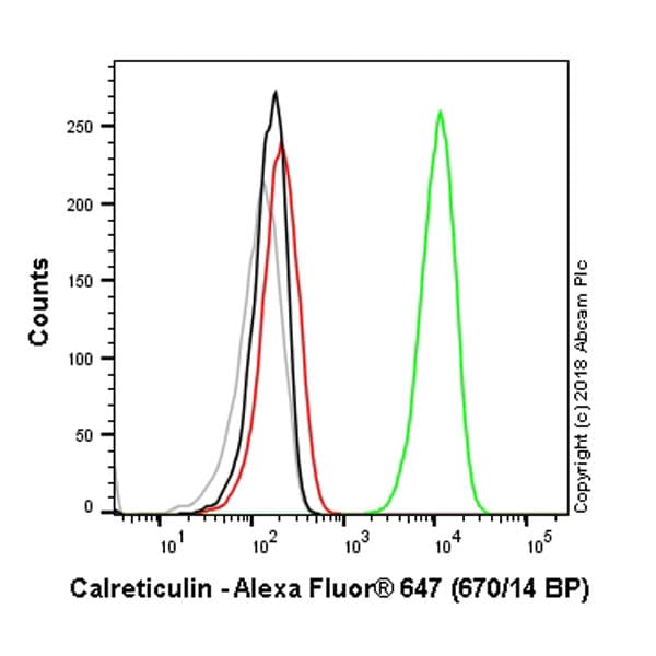 Alexa Fluor® 647 Anti-Calreticulin antibody [EPR3924] - ER Marker(AB196159)
