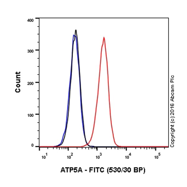 FITC Anti-ATP5A antibody [15H4C4] - Mitochondrial Marker(AB119688)
