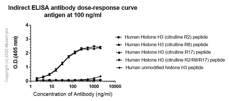 Anti-Histone H3 (citrulline R17) antibody [EPR20358-120](AB219407)