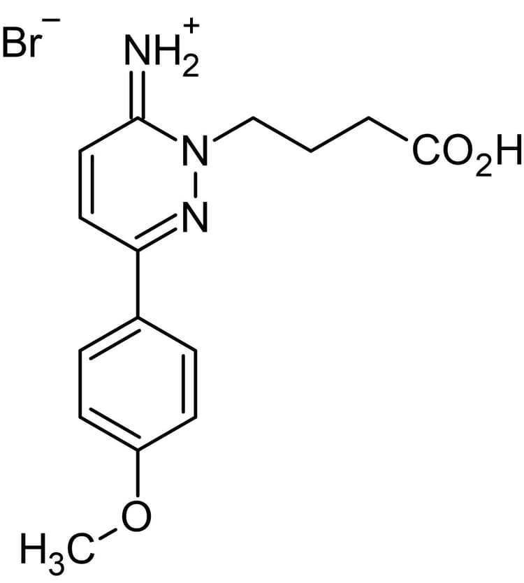 SR95531 (Gabazine) (mM/ml), GABAA antagonist(AB144487)