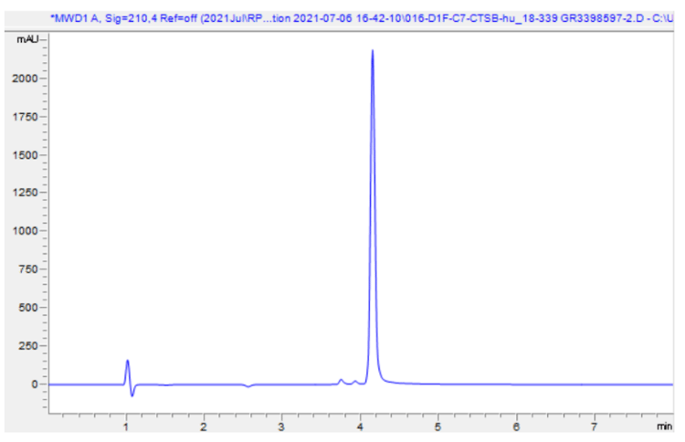 Recombinant Human Cathepsin B protein (Active)(AB283434)