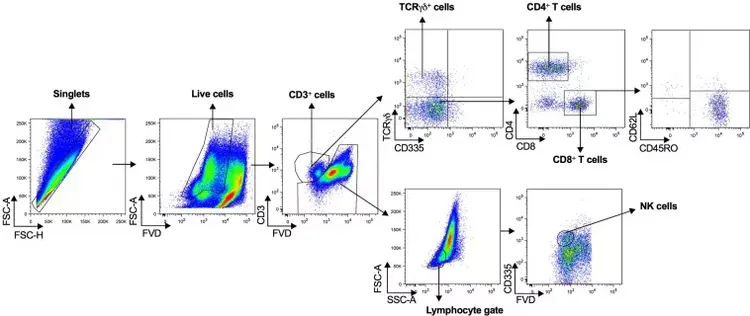 PE/Cy7® Conjugation Kit - Lightning-Link®(AB102903)