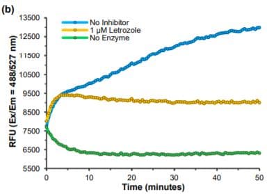 Aromatase Cyp19a Activity Assay Kit Fluorometric Ab273306  Functional Studies Img131419
