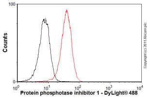 Ppp1r1a Antibody Ep902y Bsa And Azide Free Ab247299  Flow Cytometry Intracellular Img125396