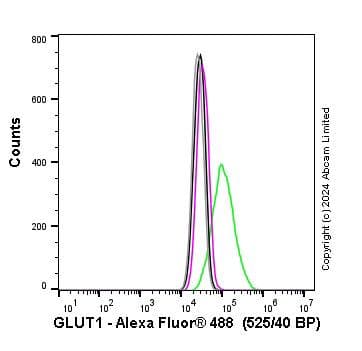 Anti-Glucose Transporter GLUT1 antibody [EPR3915] - BSA and Azide free(AB252403)