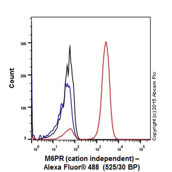 Anti-M6PR (cation independent) antibody [EPR6599](AB124767)